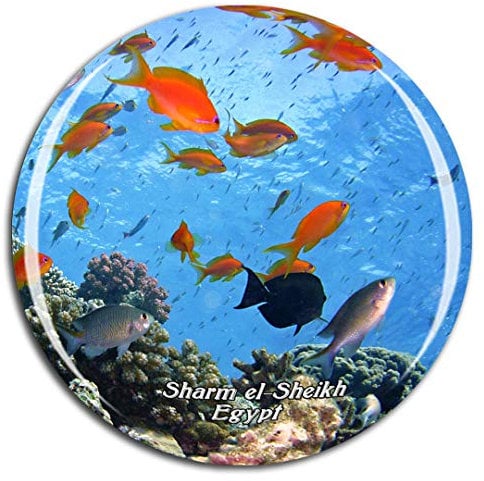 Weekino Egypt Sharm el-Sheikh Fridge Magnet 3D Crystal Glass Tourist City Travel Souvenir Collection Gift Strong Refrigerator Sticker