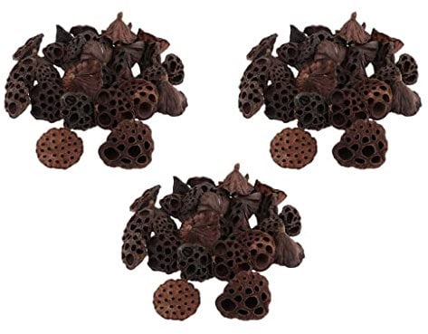 Hellery 90PCS/Package Mini Natural Dried Brwon Lotus Without And Stems for