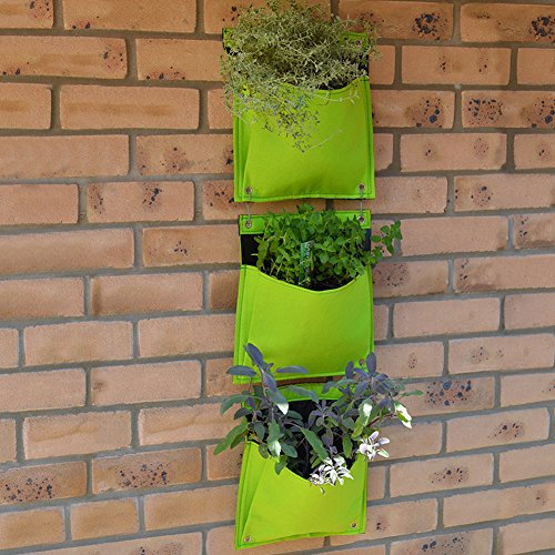 Vegtrug FHP04LG Kräutertöpfe aus Filz – Limettengrün (3-teilig)