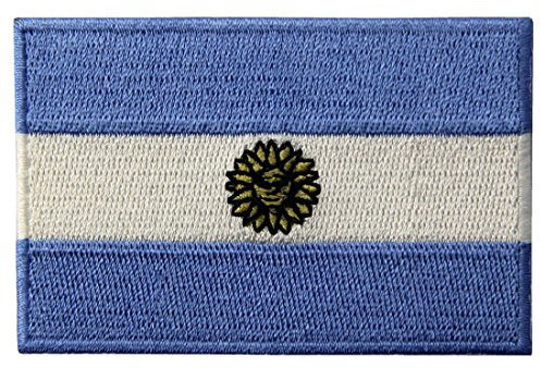 La Bandera Nacional De Argentina Bordó El Emblema Argentino Del Estado El Hierro Cosió En El Remiendo