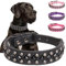 Pimaodog Hundehalsband aus PU-Leder mit Nieten für kleine, mittelgroße und große Hunde, Pitbull, Mastiff, Labrador, Boxer, Rottweiler, Deutscher Schäferhund (Schwarz, M)