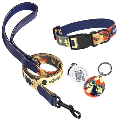 PawView Nachthimmels Stil Personalisierte Hundeleine und Halsband Set Verstellbar, mit Hundemarke qr Code, Passend für Welpen und kleine Hunde S (Hals: 28 –43 cm, Leine: 1.5 m)