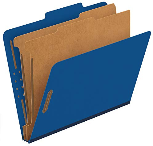Pendaflex Classification File Folders,1 Divider, Durable File Organizer for Home, School or Office, Letter-Size Folders for Files, Paper Organizer, Durable Prongs, (B006NVMJCC)