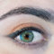 ADORE - Farbige Kontaktlinsen mit abgestuften BC 8,6 mm, DIA 14,0 mm | +1,75 Dioptrien | Trimestrale | 90 Tage (grün/PEARL L)