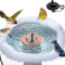 lollyes Chauffage de bain pour oiseaux pour extérieur, 70 W, salle de bain pour oiseaux, chauffé pour extérieur, avec pompe à fontaine, avec contrôle thermostatique et câble de 1 m pour la baignoire