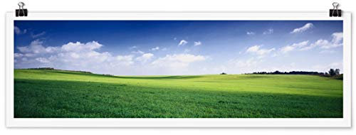 Bilderwelten Poster Wanddeko Natures Peace Querformat Selbstklebend seidenmatt 40 x 120 cm