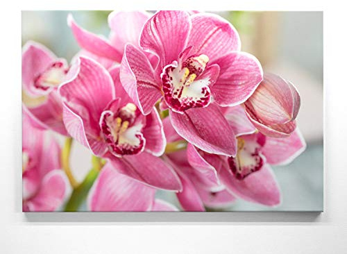 Panorama Leinwand Orchidee rosa - als 150x50cm großes XXL Leinwandbild. Wandbild als Hintergrund und Deko für Wohnzimmer & Schlafzimmer. Aufgespannt auf Holzrahmen