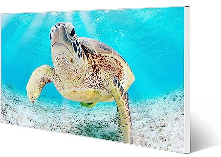 banjado® Magnettafel 78 x 37cm / Magnetwand aus Metall/Magnetpinnwand als Memoboard/Pinnwand Magnettafel Küche, Büro, Kinderzimmer inkl. 4 Magnete & Montageset - Elvis