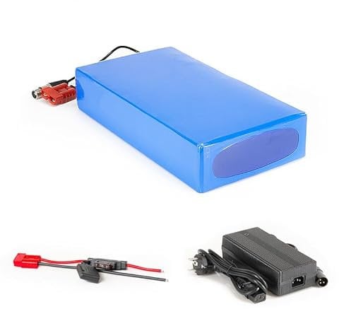 LERIAN POWER Lithium-Ion Battery 60V 20Ah 1200Wh Battery Pack Including 50A BMS & Charger for E-Bike Scooter Pedelec
