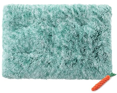FANSU Dog Bed Mat Cats Beds Pad, Soft Warm Self Heating Pet Pad Gradient Colour Plush Blanket for Puppy Kitten Washable Reversible for Indoor Outdoor Car (L-80X55CM,Sage Green)