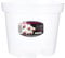 Growth Technology Ltd Durchsichtiger Orchideentopf 21 cm