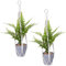 Meng Jiaran Macrame Plant Hanger, 2 Pack Boho Hanging Baskets for Plants, Indoor Plants Decorative Braided Cotton Rope Flower Pot Holder for Outdoor Home Decor, 21.65inch