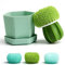 Cactus Mini Spülbürste Set mit Tropfschale (3 Ersatzbürsten), langlebige Küchenreinigungsschrubber für Teller, Pfannen, Töpfe, Spüle (Grün)