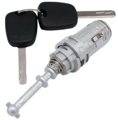 Kit Cilindro Serratura Portiera Sinistra Auto Con 2 Chiavi Per Citroen C2 C3 2002-2010 Attrezzi Serrature Accessori 9170T9 9170W9 Chiusura Elettrica Della Portiera