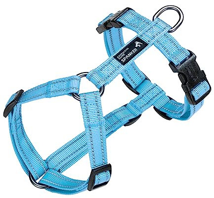 EXCELLENT ELITE SPANKER Spaziergang Hundegeschirr weich gepolstert reflektierende Weste Geschirr Anti-Twist-Leine für kleine mittlere große Hund Katze(LBLU,M)