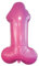 Maelsa® Farce et Attrape - Tout sur le Zizi - Pour les Accros, Cadeau Anniversaire, Noël, EVJF (Ballon Zizi 80 cm)