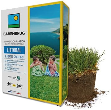 BARENBRUG - Gazon Littoral & Fortes chaleurs - Résistant Sécheresse et Embruns - Supportant Fortes Chaleurs - Dense et Régulier Toute l’Année - Permet de Réduire l'Arrosage - Fabriqué en France - 1KG