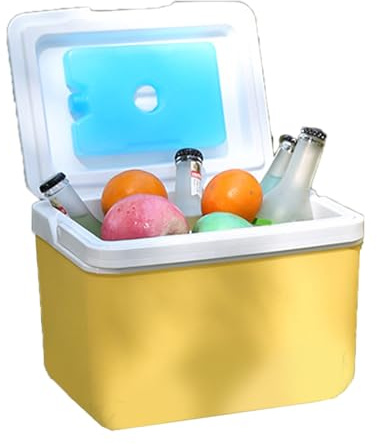 Ldbuejiaja Nevera de camping de 6 L, con aislamiento, cubo de hielo, enfriador duro para camping, picnics, playa, bebidas, bebidas, alimentos, incubadora térmica
