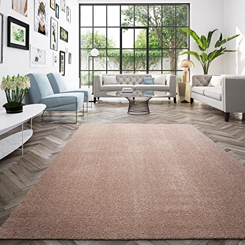 BALTA Waschbarer Teppich auch für die Waschmaschine, Einfarbiger Teppich für Wohnzimmer - Schlafzimmer, Fußbodenheizung geeignet, Recycelbar, Pflegeleicht, 100% Polypropylen, 120x170 cm, Rosa