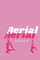 Aerial Goals - Aerial hoop - Journal: Dream.Believe.Achieve