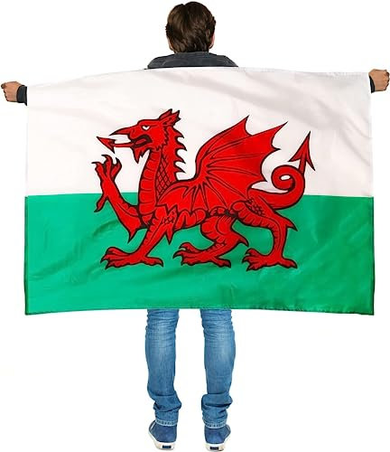 SHATCHI Large Wales Flag With Wearable Sleeve Welsh Football World Cup Fan Supporter, Red
