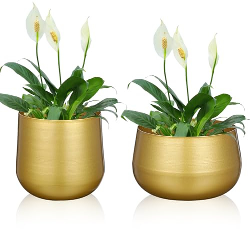 zisiueel 2 Pcs Plant Pot Gold Vase Metal Flower Pot Vase with Drainage Hole, Modern Storage Organizer Decorative Gifts for Wedding Indoor Outdoor Living Room Balcony Decoration Floor Display