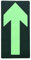 Aspire Lot de 6 Panneau de sécurité Phosphorescent avec flèche, Panneau Lumineux avec Empreinte de Pied, Panneau de Sortie Fluorescent pour escaliers au Sol - Droit 30 x 15 cm