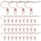 SUNNYCLUE 1 Box 100Pcs Stainless Steel Earring Hooks Rose Gold Fish Hook Ear Wires Hypoallergenic Earring Findings Bulk French Hook Earring Wires with Openable Loops for Jewellery Making DIY Supplies