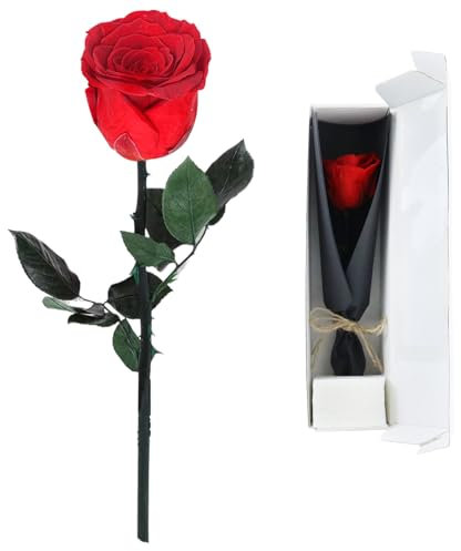 Volhuluk Rote Infinity Rosen in Geschenkbox(3~5 Jahre haltbar), Ewige Rose Rot mit Stiel, Echte Konservierte Rose für Frau,Freundin,Oma,Valentinstag,Weihnachten,Muttertag,Geburtstag,Hochzeitstag
