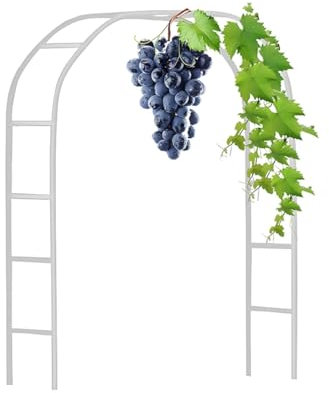 Schwer Rosenbogen Verzinkt Gartenbogen Pergola aus Metall Stabil Hochzeitsbogen Rankgitter, Torbogen Rankhilfe für Kletterpflanzen 120cm 140cm 180cm 200cm 240cm 280cm(White,W1.4 x H2.30m)