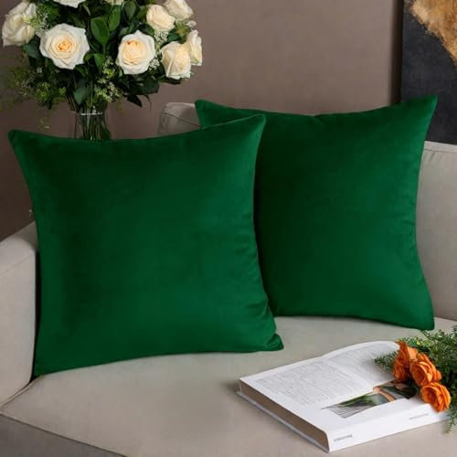 AMFUN Copricuscini in Velluto, 2 Pezzi Federe Cuscini in Velluto 40x40cm, Verde Scuro Velluto Copricuscini con la Cerniera Invisibile, Decorativi Federa per Cucina Sedia Soggiorno Camera da Letto