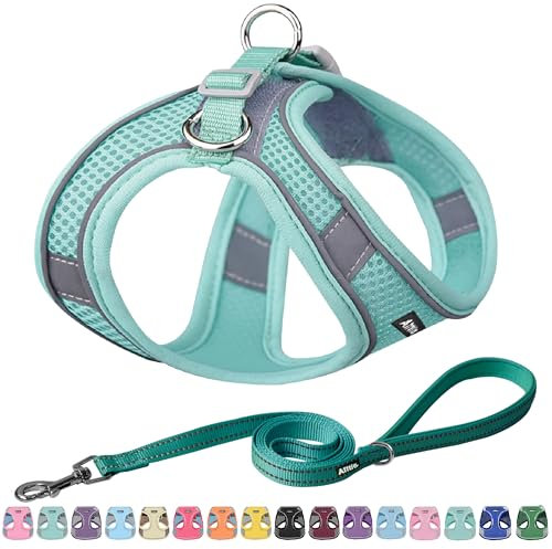 AIITLE Hundegeschirr, No-Pull Katzengeschirr mit Einer Leine, einstellbare reflektierende Hundeweste, Outdoor Walking für extra kleine Hunde und Hauskatzen Reines Türkis XXXS
