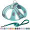 AIITLE Hundegeschirr, No-Pull Katzengeschirr mit Einer Leine, einstellbare reflektierende Hundeweste, Outdoor Walking für extra kleine Hunde und Hauskatzen Reines Türkis XXXS
