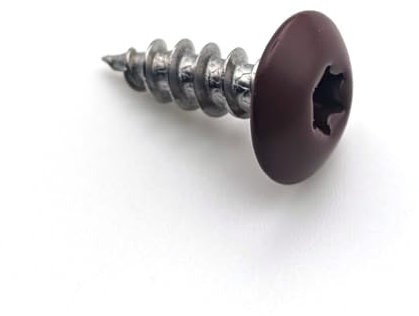 Vis pour penture 6x20 mm RAL 8012 brun rouge Inox A2 par 25