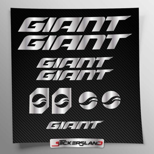 Aufkleber-Set kompatibel mit Rahmen MTB Mountainbike und Helm | Decals Aufkleber für Fahrrad Schriftzug Logos | Stickersland® GIAN (Silber Metallic Matt)
