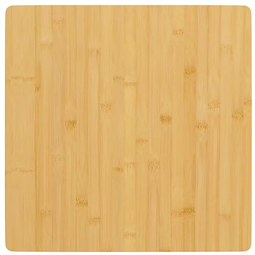 vidaXL Tischplatte 60x60x2,5 cm Bambus