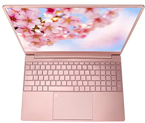 Laptop da 15,6 Pollici, per Celeron N5095, SSD da 16 GB 1 TB, Schermo IPS 2K, per 11, Colore RGB, Batteria da 6000 MAh, Rosa con Retroilluminazione Tastiera (Spina UE da