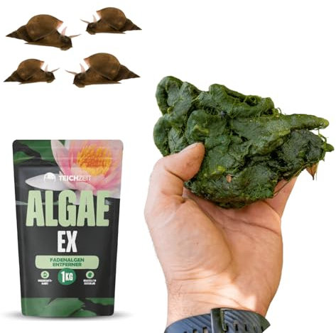 Anti-Fadenalgen-Paket | Teichpflege-Set für Gartenteich & Fischteich | Effektiv gegen Fadenalgen | 1x Teichzeit AlgaeEx Fadenalgen Stopp & 10x Spitzschlammschnecken
