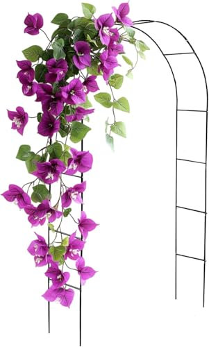 ComfyNex Garden Arch Black Metal - Steel Frame Arches for Climbing Plants, Vegetables, Roses, Indoor/Outdoor, Christmas and Wedding Decorations Archway (1, Black Garden Arch)