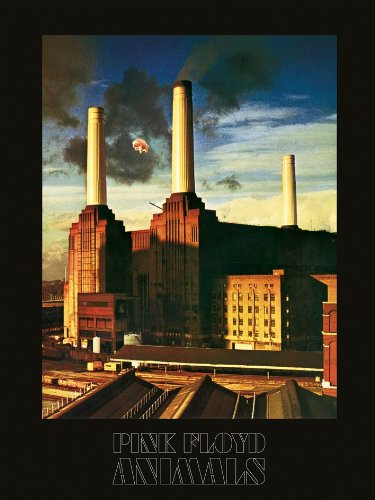 Pink Floyd Animals Canvas Print, Cotton, Multi-Colour, 3.20 x 60.00 x 80.00 cm