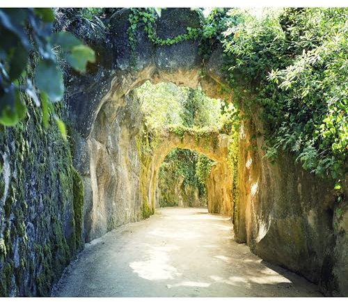 decomonkey Fototapete Wald 350x256 cm XXL Tapete Wandbild Bild Fototapete Tapeten Wandtapete Wandtapeten Natur Garten Alee