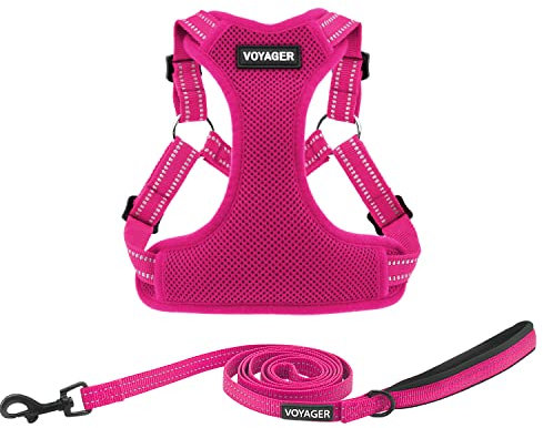 Best Pet Supplies Voyager Verstellbares Hundegeschirr, Leinen-Set mit reflektierenden Streifen zum Spazierengehen, strapazierfähig, Ganzkörper-Weste ohne Ziehen, Weste mit D-Ring, atmungsaktiv,