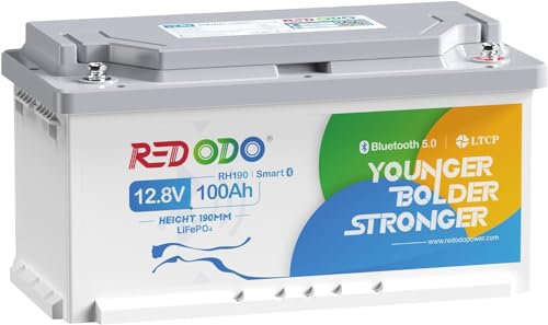Redodo Batteria Litio 12,8V 100Ah H190,Smart Bluetooth Batterie Lifepo4 con 100A BMS,1280Wh,con Altezza di 188mm,Protezione dalle Basse Temperature,per Camper,RV,Roulotte