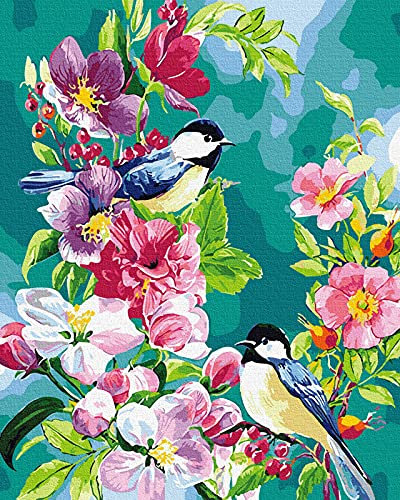 Grebesty peinture par numero adulte, DIY loisirs créatifs adultes peinture numero adulte fleurs Oiseaux 40 x 50 cm, sans cadre
