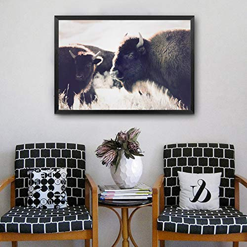 Yooyu Highland Kuh Druck und Poster Rinder Leinwand Kunst GemäldeNordische Leinwandbild Kunstdrucke Wand für Wohnzimmer Dekor 21x30cm (8x12in) Rahmenlos