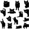 Zfseyuh 14 Stück Magnetische Lesezeichen,Cute Schwarze Lesezeichen Katze,Geschenke für Katzenliebhaber,Geschenk für Schüler,Lehrer,Leser