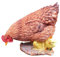 Aspinaworld Gartenfigur braune Huhn Figur pickt mit Küken 24 cm, Figur für den Garten, wetterfeste Deko, Bauernhoffigur