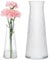 KONZEPT Glasvasen 25cm Hoch, 2er Set Glas Blumenvasen modern, Vasen rillen, klein, Deco für Pampasgras, Tulpen und Trockenblumen