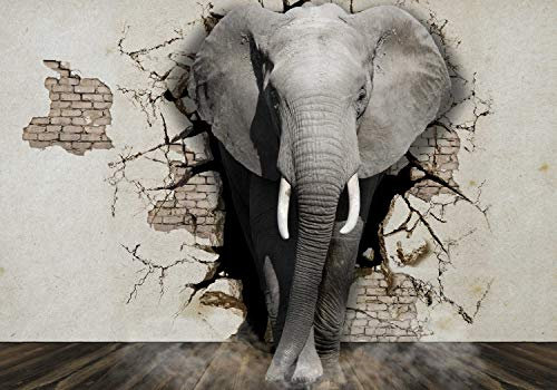 wandmotiv24 Fototapete Elefant aus Wand, 200 x 140cm - selbstklebende Strukturtapete, Wanddeko, Wandbild, Wandtapete, Tier 3D M5907