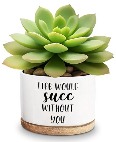 Lasimfa Life Would SUCC Without You - Macetas de cerámica blanca para suculentas, flores de cactus, divertidas macetas para amantes de las plantas, regalo de cumpleaños, Navidad, Acción de Gracias,